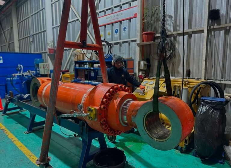 WhatsApp Image 2025-03-17 at 12.54.10 PM (1)