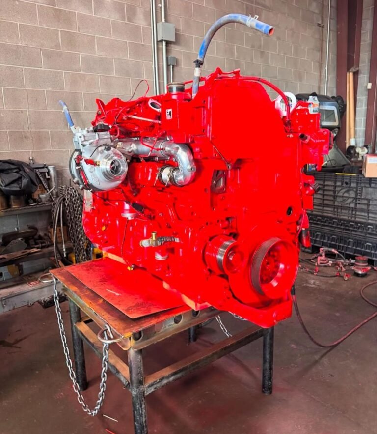 WhatsApp Image 2025-03-17 at 12.54.10 PM (2)