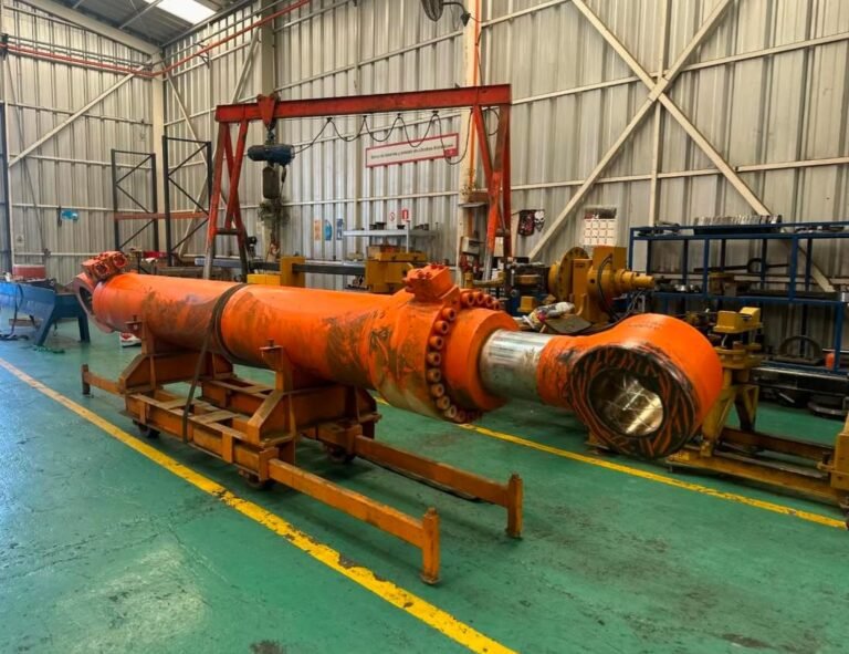 WhatsApp Image 2025-03-17 at 12.54.10 PM