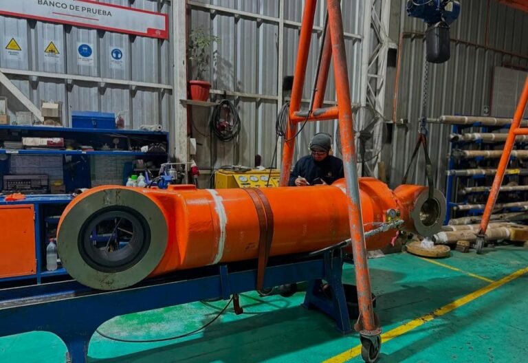 WhatsApp Image 2025-03-17 at 12.54.12 PM