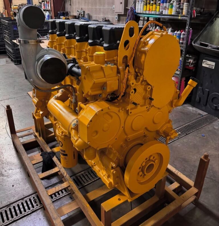 WhatsApp Image 2025-03-17 at 12.54.14 PM (2)