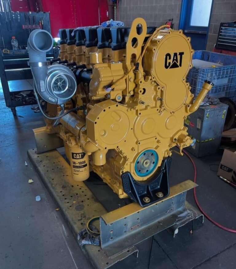 WhatsApp Image 2025-03-17 at 12.54.14 PM (3)