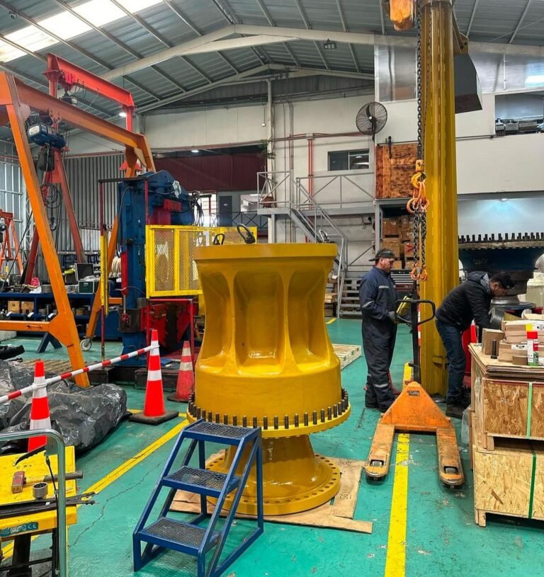 WhatsApp Image 2025-03-17 at 12.54.15 PM (1)