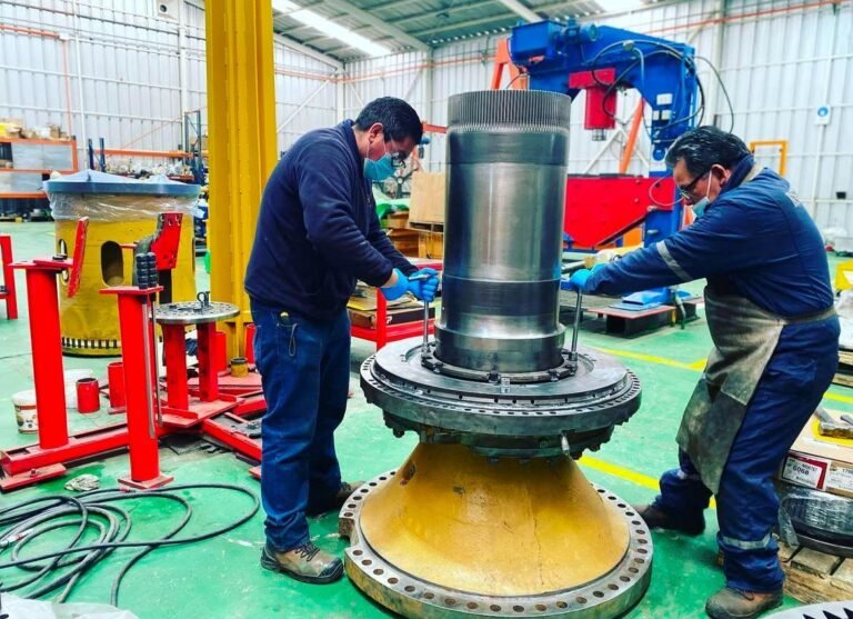 WhatsApp Image 2025-03-17 at 12.54.15 PM (3)